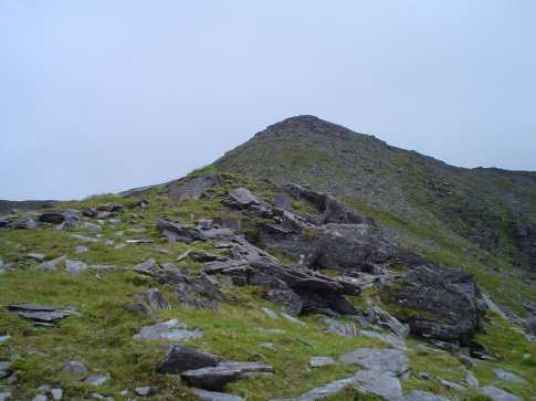             MountainViews.ie picture about <em>Maolán Buí</em>             