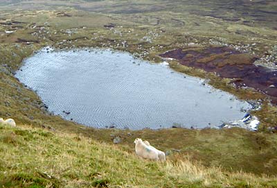             MountainViews.ie picture about Mullaghcleevaun (<em>Mullach Cliabháin</em>)            