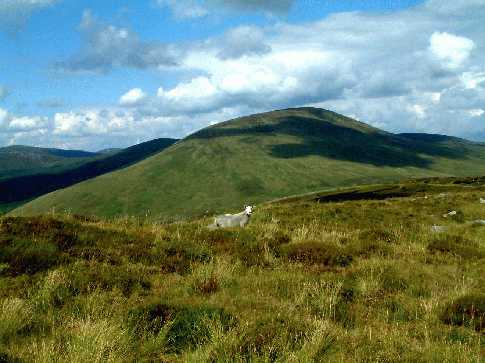             MountainViews.ie picture about Tonelagee (<em>Tóin le Gaoith</em>)            