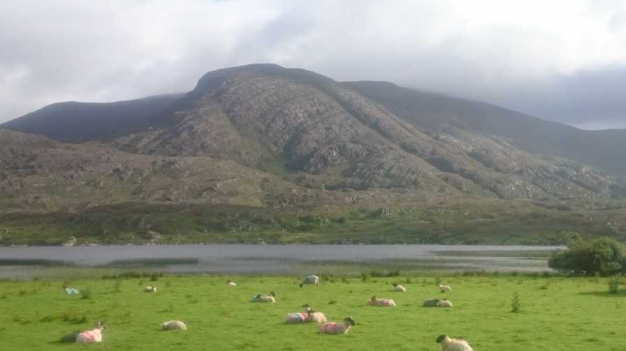             MountainViews.ie picture about <em>Beann na Stiocairí</em>             