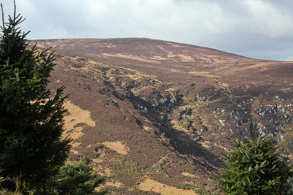             MountainViews.ie picture about Tonduff (<em>Tóin Dubh</em>)            