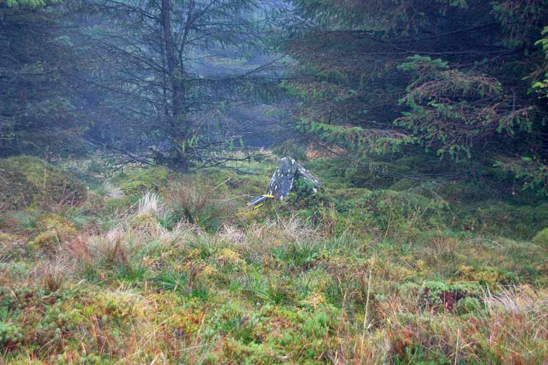             MountainViews.ie picture about Slieve Maan (<em>Sliabh Meáin</em>)            