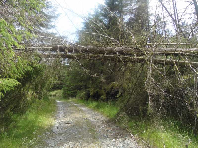             MountainViews.ie picture about Nowen Hill (<em>Cnoc na nAbhann</em>)            