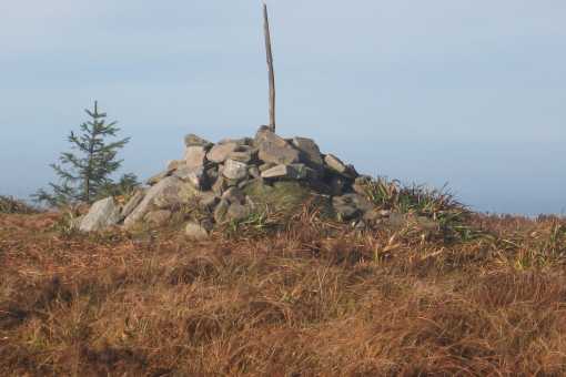             MountainViews.ie picture about Arderin (<em>Ard Éireann</em>)            