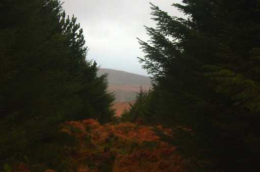             MountainViews.ie picture about Seefin East Top (<em>Suí Finn (mullach thoir)</em>)            