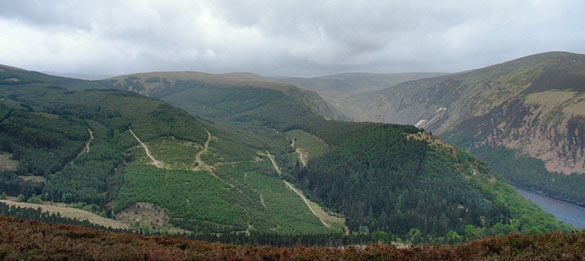             MountainViews.ie picture about Derrybawn Mountain             