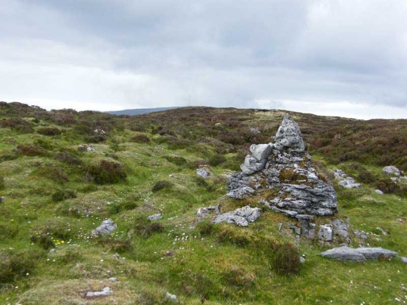             MountainViews.ie picture about Keelogyboy Mountain (<em>Sliabh na gCaológ Buí</em>)            