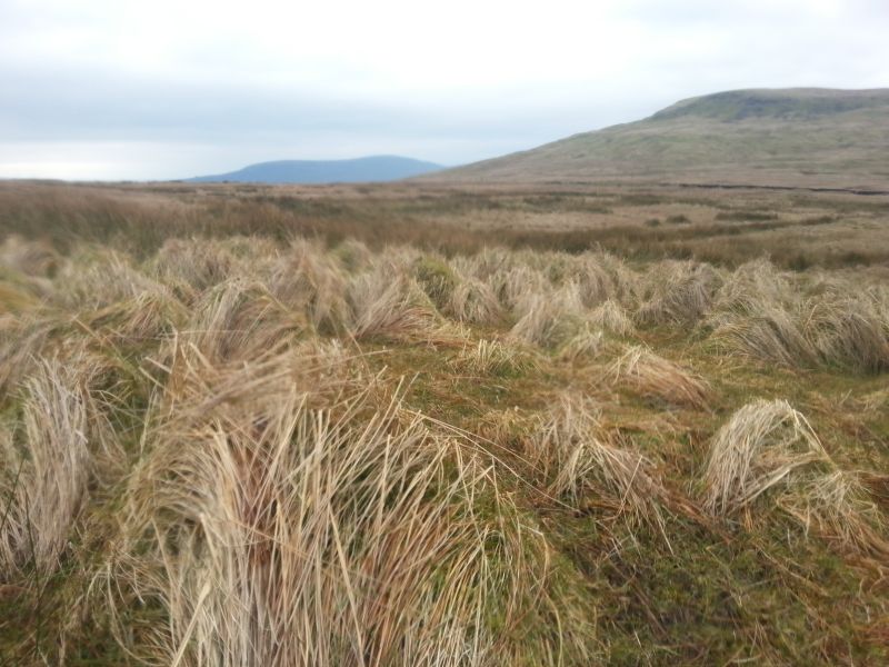             MountainViews.ie picture about Coolnasillagh Mountain (<em>Sliabh Chúil na Saileach</em>)            