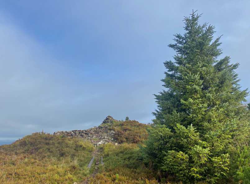             MountainViews.ie picture about Knocknaskagh North Top (<em>Cnoc na Sceach (mullach thuaidh)</em>)            