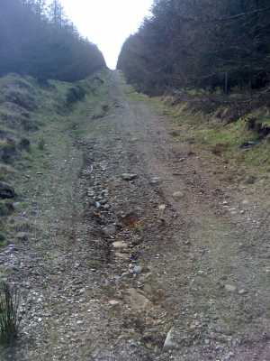             MountainViews.ie picture about Cushbawn (<em>Cuisleán</em>)            