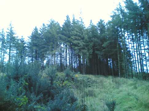             MountainViews.ie picture about Tinoran Hill (<em>Cnoc Theach nOdhráin</em>)            