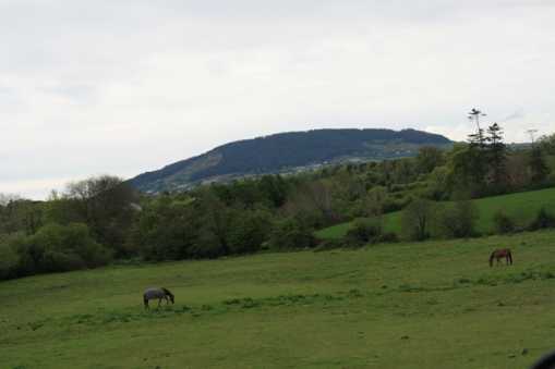             MountainViews.ie picture about Tara Hill (<em>Torrchoill</em>)            