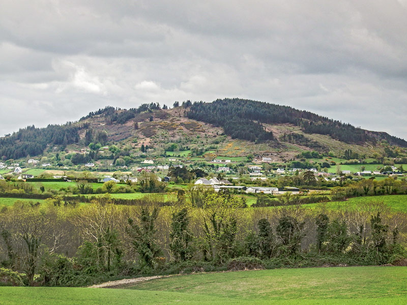             MountainViews.ie picture about Tara Hill (<em>Torrchoill</em>)            