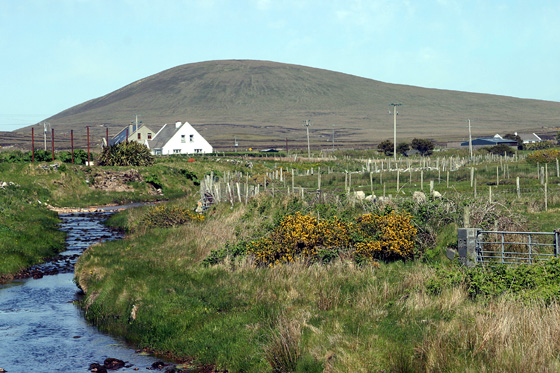             MountainViews.ie picture about Krinnuck (<em>Cruinneog</em>)            