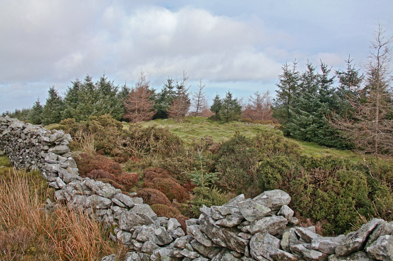             MountainViews.ie picture about Mount Kennedy             