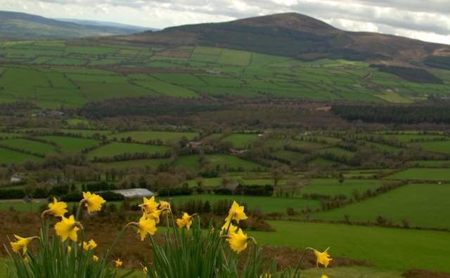             MountainViews.ie picture about Croghan             