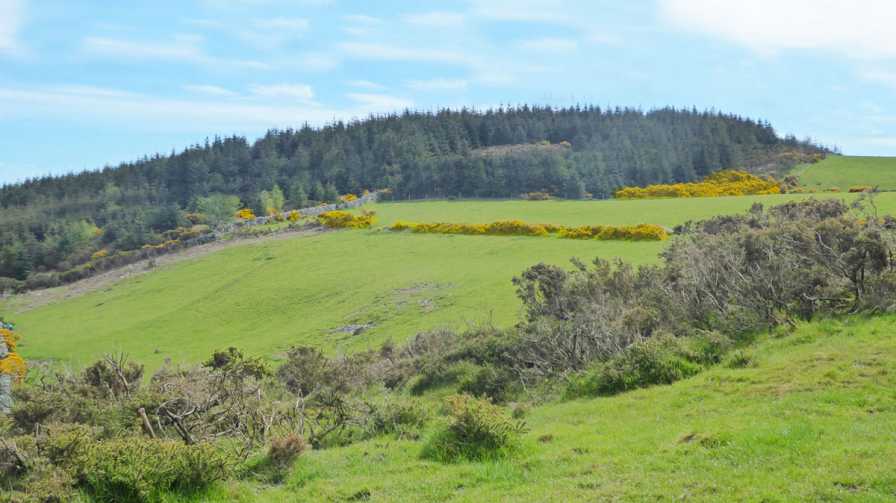             MountainViews.ie picture about Ballycurry             