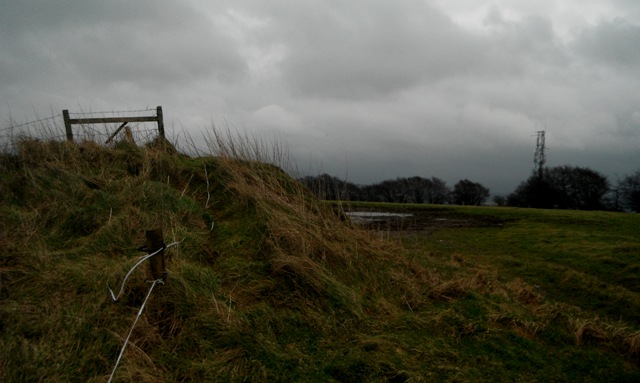             MountainViews.ie picture about Ballyhook Hill             