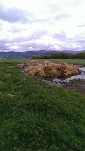             MountainViews.ie picture about Ballyhook Hill             