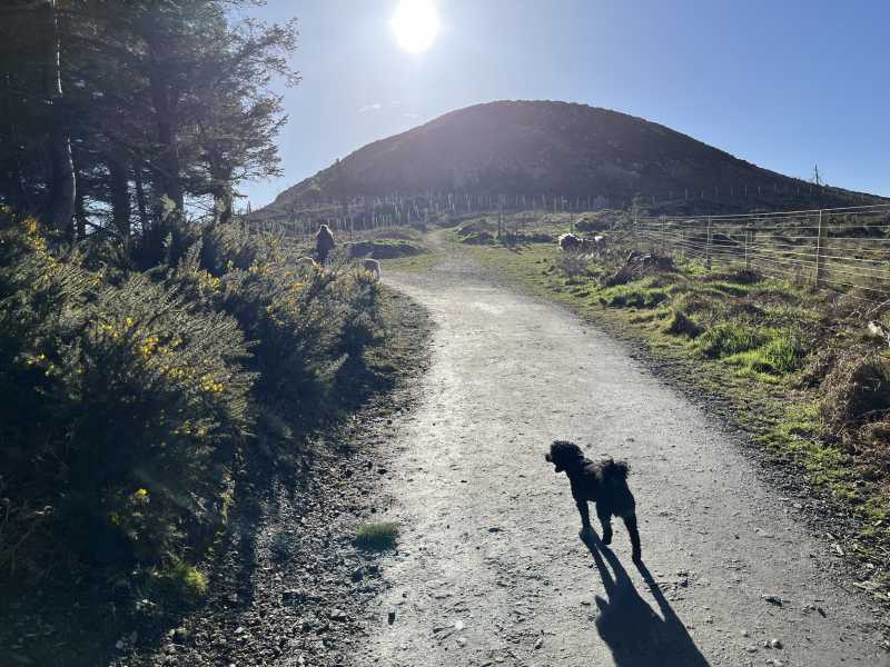             MountainViews.ie picture about Carrickgollogan (<em>Carraig Uallacháin</em>)            