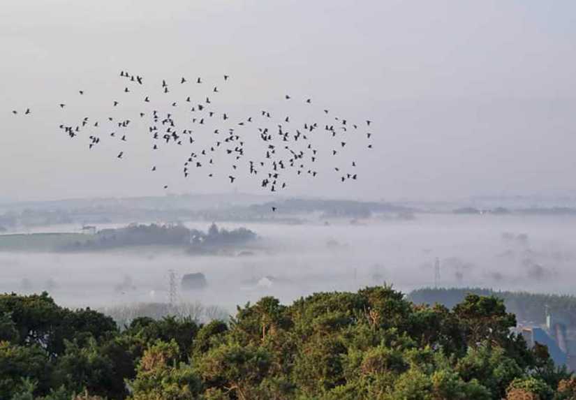             MountainViews.ie picture about Ouley Hill             