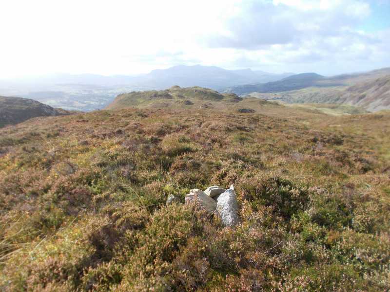             MountainViews.ie picture about Foel Ddu             