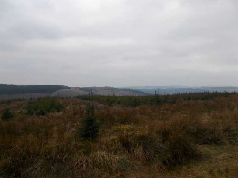             MountainViews.ie picture about Coed Cae Aberaman             