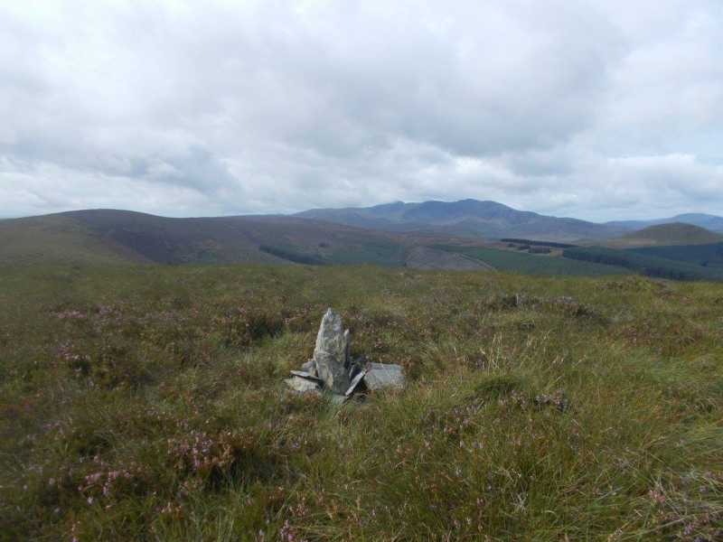             MountainViews.ie picture about Foel Goch             