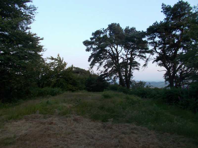             MountainViews.ie picture about Lewesdon Hill             