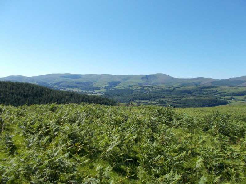             MountainViews.ie picture about Mynydd Garth-Gwynion             
