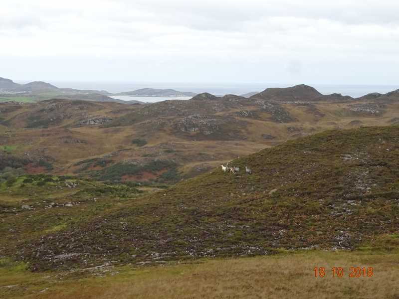 MountainViews.ie Picture about mountain Murren Hill (<i>Cnoc na Boirne</i>) in area Donegal North, Ireland