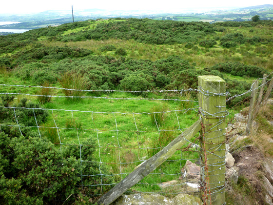 MountainViews.ie Picture about mountain Clondermot Hill (<i>Cnoc Chlann Diarmada</i>) in area Sperrin Mountains, Ireland
