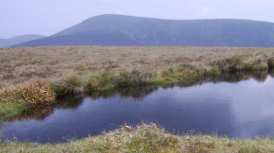 MountainViews.ie Picture about mountain Moanbane (<i>Móin Bhán</i>) in area Wicklow, Ireland
