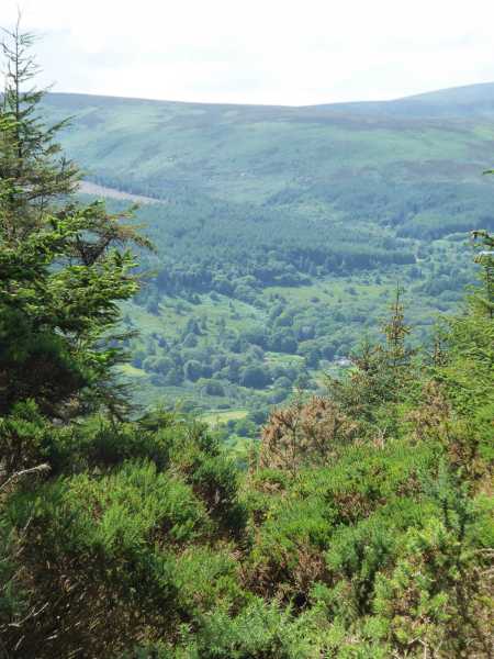MountainViews.ie Picture about mountain Knockree  in area Wicklow, Ireland