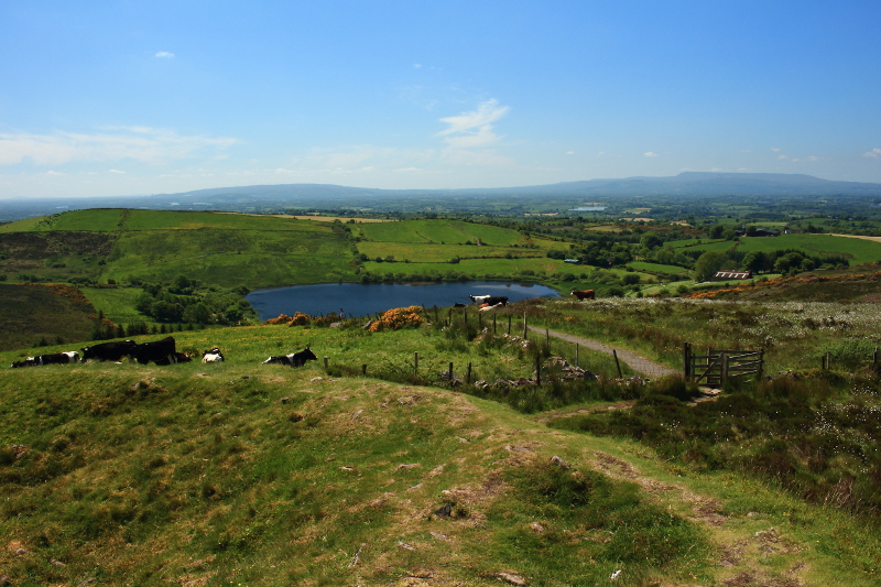 MountainViews.ie Picture about mountain Topped Mountain  in area Fermanagh & South Tyrone, Ireland