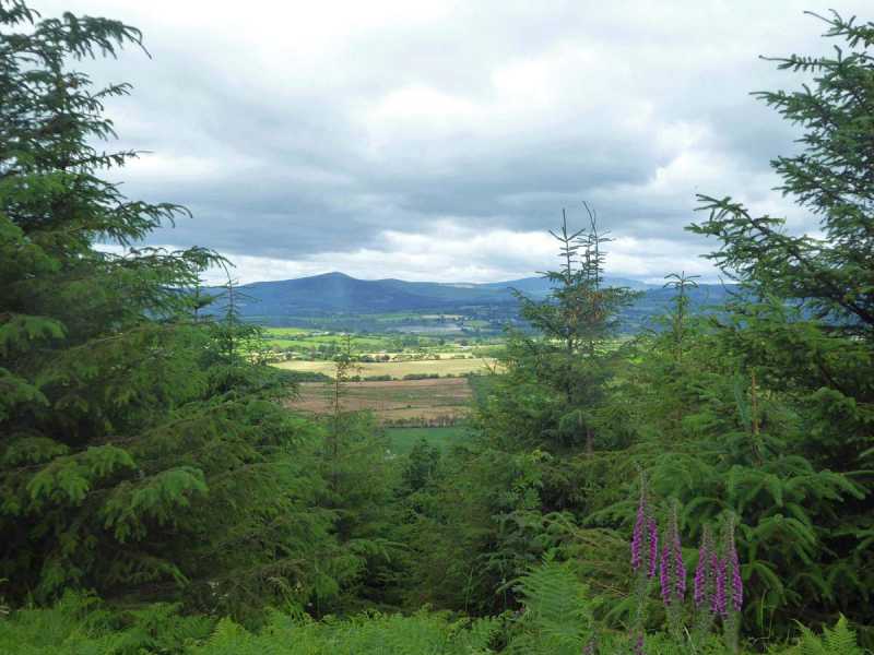 MountainViews.ie Picture about mountain Westaston Hill  in area Wicklow, Ireland