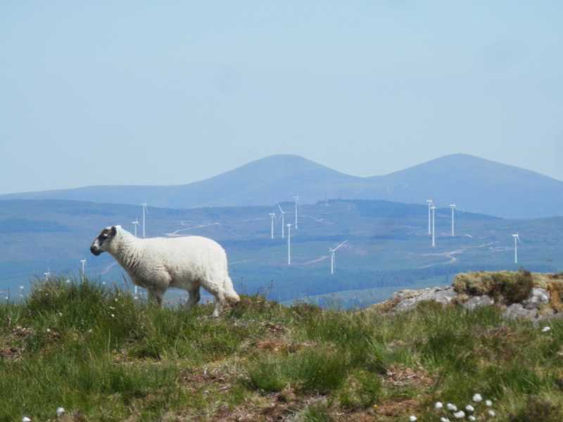 MountainViews.ie Picture about mountain The Paps West (<i>An Dá Chích Anann - An Chíoch Thiar</i>) in area Derrynasaggart, Ireland
