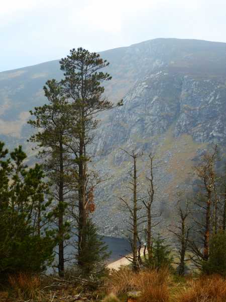 MountainViews.ie Picture about mountain White Hill  in area Wicklow, Ireland