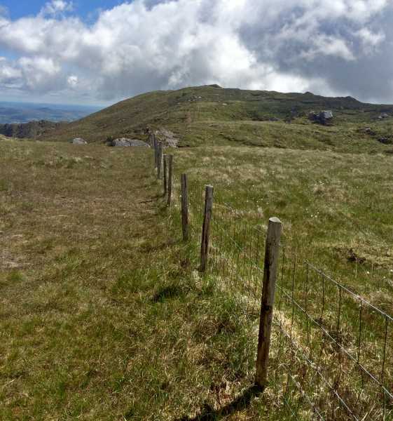MountainViews.ie Picture about mountain Foilastookeen (<i>Faill an Stuaicín</i>) in area West Cork Mountains, Ireland