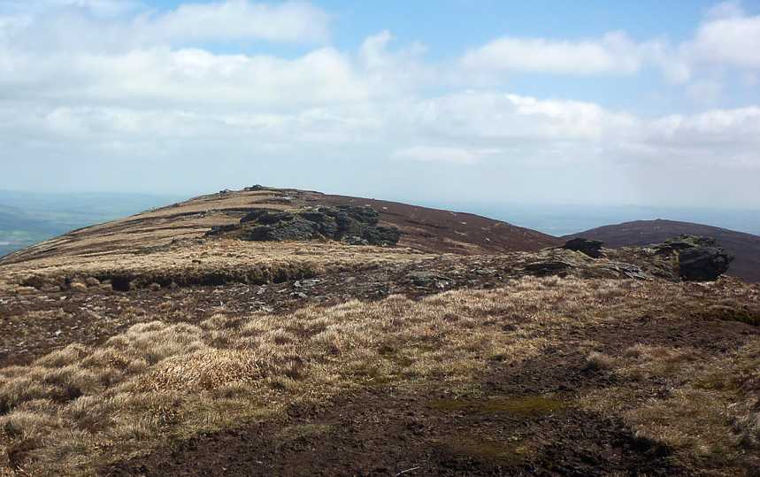 MountainViews.ie Picture about mountain Mount Leinster East Top (<i>Stua Laighean (mullach thoir)</i>) in area Blackstairs Mountains, Ireland