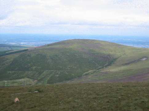 MountainViews.ie Picture about mountain Seahan (<i>Suíochán</i>) in area Dublin, Ireland