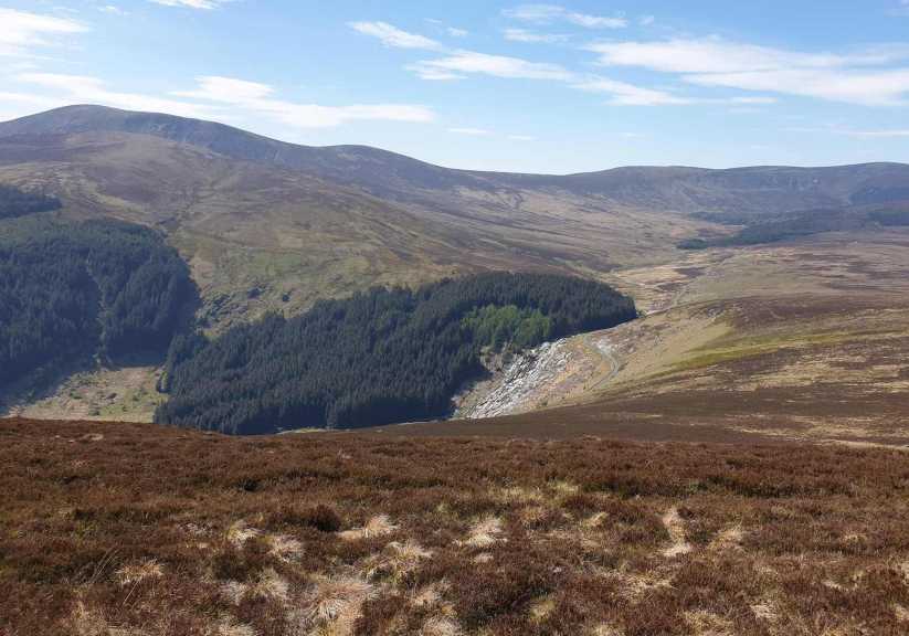 MountainViews.ie Picture about mountain Scarr (<i>Scor</i>) in area Wicklow, Ireland