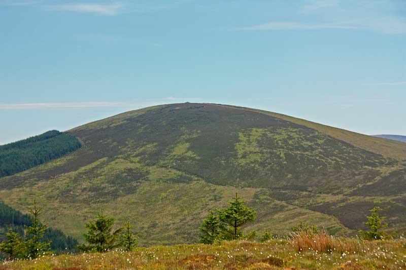 MountainViews.ie Picture about mountain Sorrel Hill  in area Wicklow, Ireland