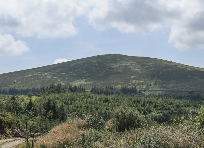 MountainViews.ie Picture about mountain Mauherslieve (<i>Motharshliabh</i>) in area Midlands SW, Ireland