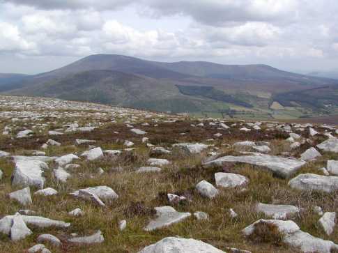 MountainViews.ie Picture about mountain Knockroe (<i>Cnoc Rua</i>) in area Blackstairs Mountains, Ireland