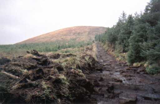 MountainViews.ie Picture about mountain Moylussa (<i>Maigh Lusa</i>) in area East Clare, Ireland