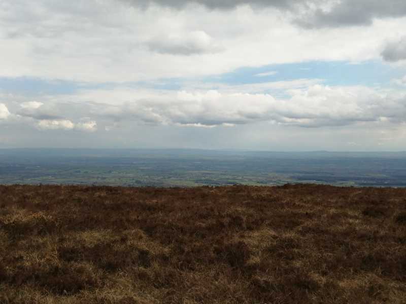 MountainViews.ie Picture about mountain Arderin (<i>Ard Éireann</i>) in area Slieve Bloom, Ireland