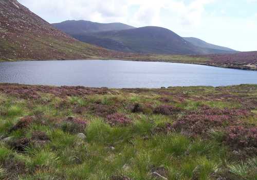 MountainViews.ie Picture about mountain Rocky Mountain  in area Mourne Mountains, Ireland