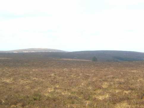 MountainViews.ie Picture about mountain Stillbrook Hill  in area Slieve Bloom, Ireland
