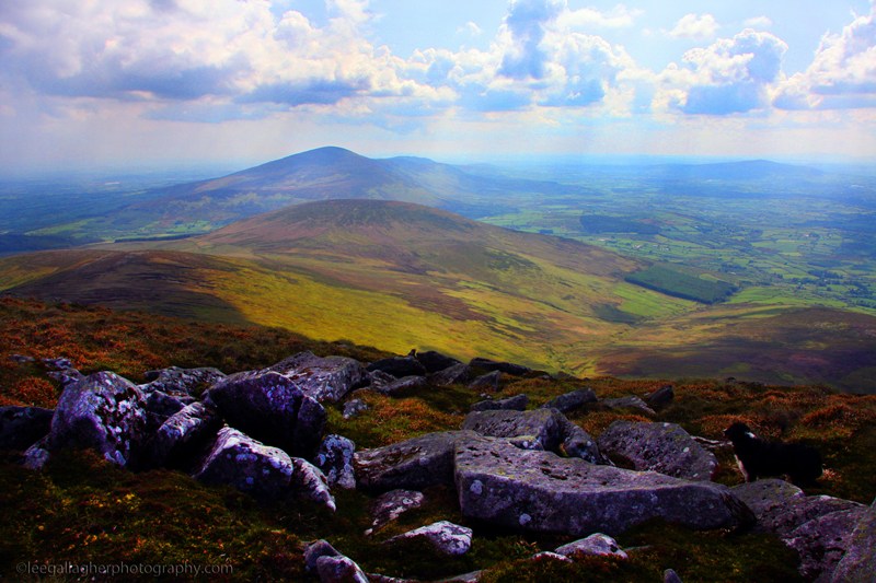 MountainViews.ie Picture about mountain Mount Leinster (<i>Stua Laighean</i>) in area Blackstairs Mountains, Ireland